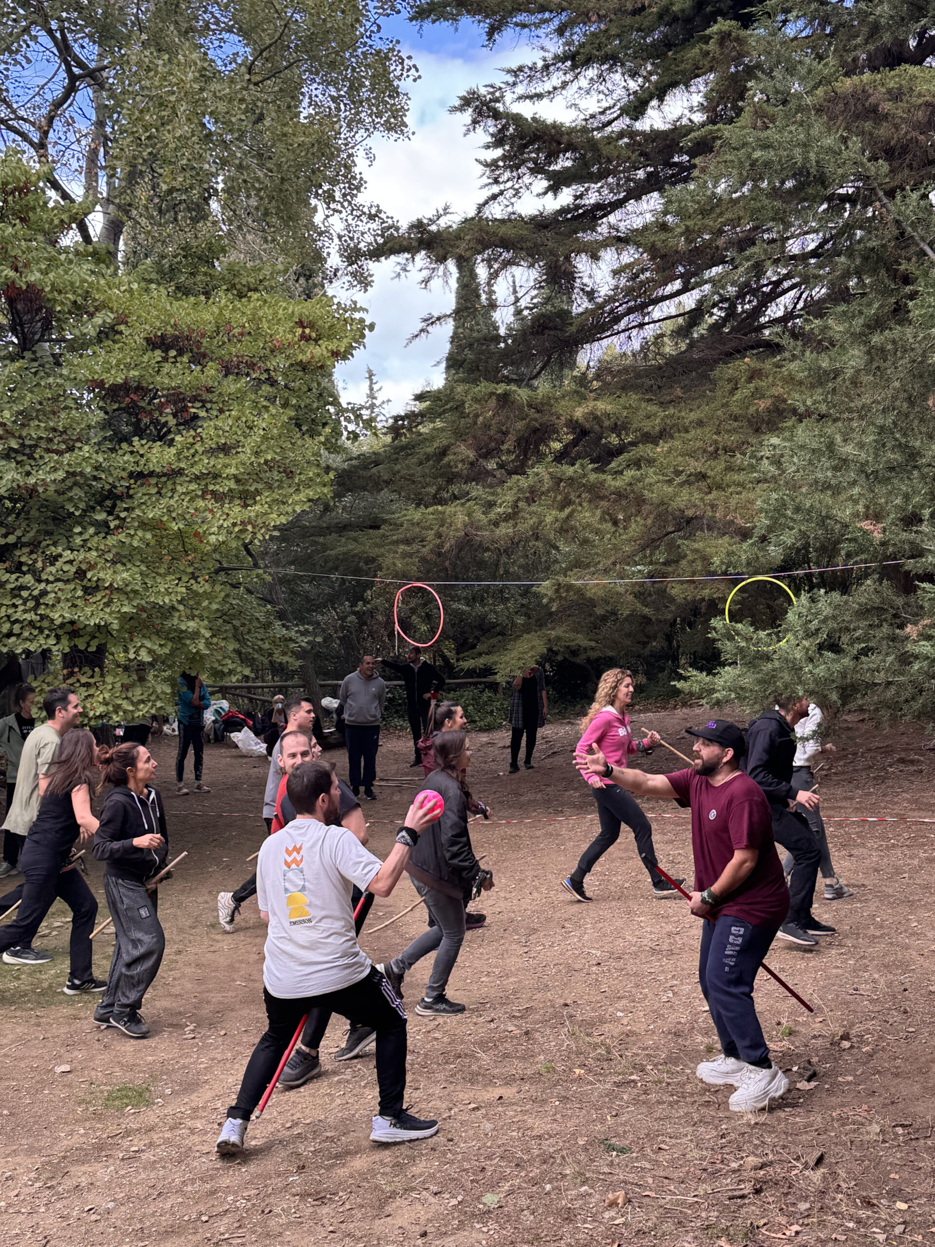 THE  MATRIX QUEST — NEW YEAR RESET morning